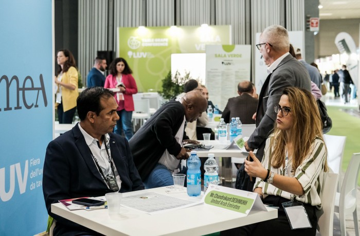 table grape conference luv