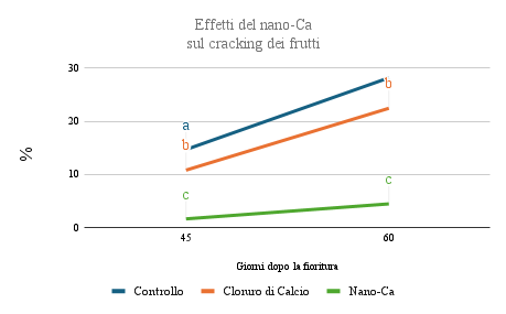 Figura 7 - Effetti del nano-Ca _sul cracking dei frutti - maggiore conservabilità