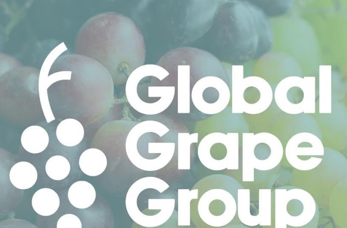 global grape group_722922