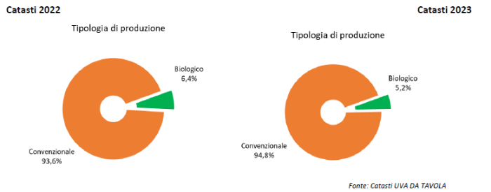uva biologica Italia