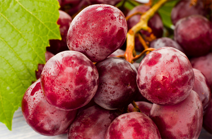 pruina uva da tavola