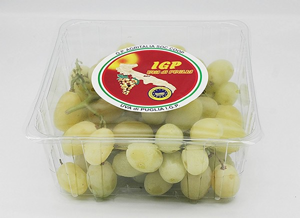 stagione dell'uva igp