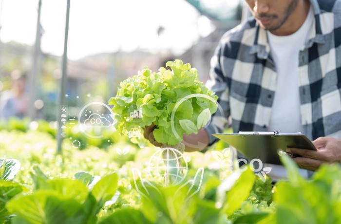 bando ismea generazione terra