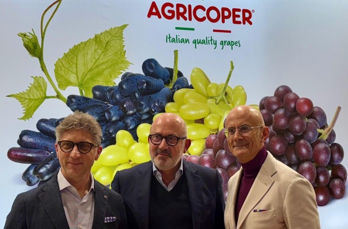 agricoper comparto dell'uva