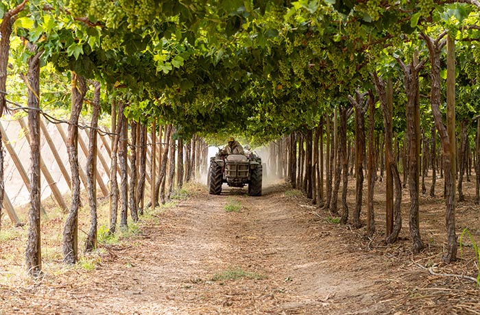rincari agricoli