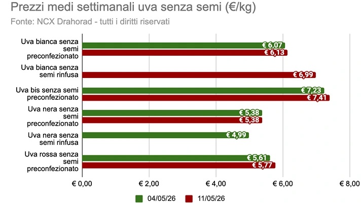 uva da tavola 1