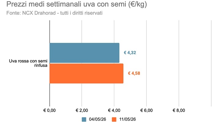 uva da tavola