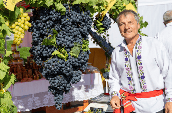 uva da tavola moldavia (1)
