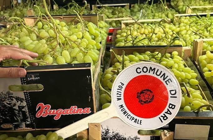 controlli-campagne