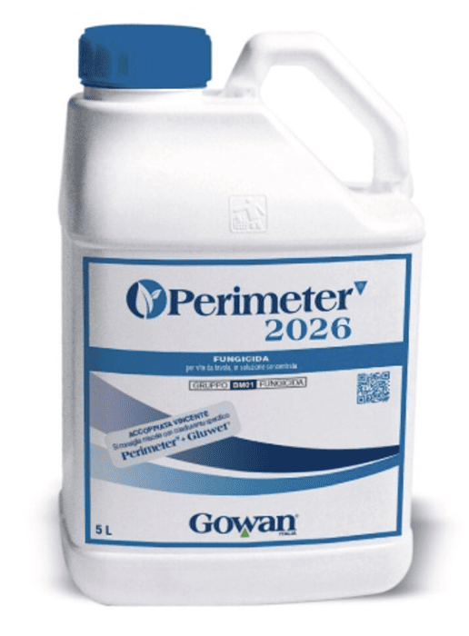 perimeter